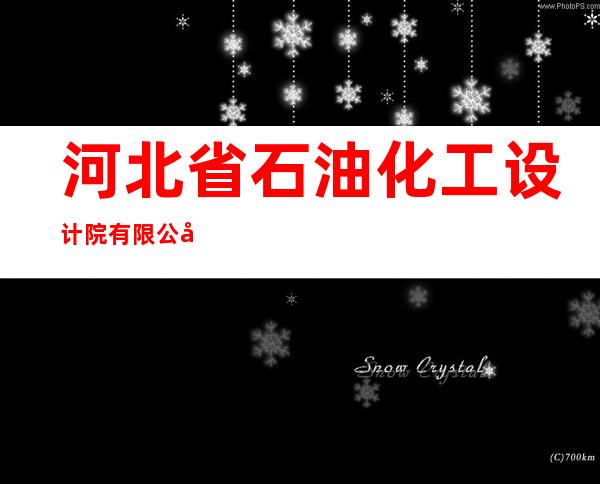 河北省石油化工设计院有限公司上海分公司